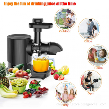 High sales slow cold pressed juicer for home use